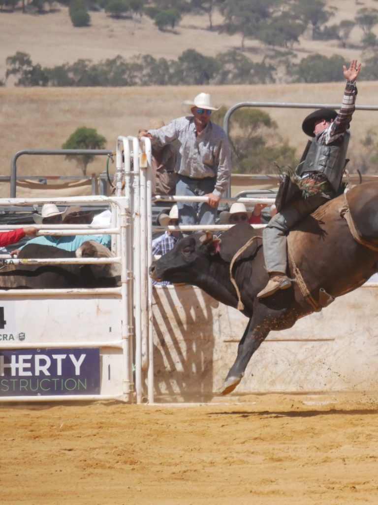 From regional WA to the USA: Young rodeo hopefuls join mentoring program