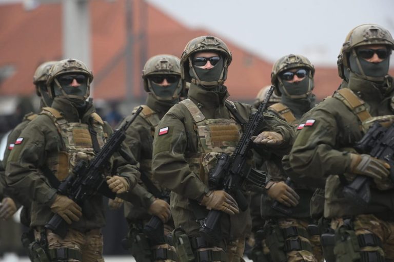 EU may need 100,000-strong army, says defense commissioner