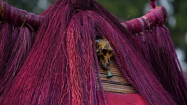 Thousands gather to mark Benin’s Vodun Days showcasing local culture