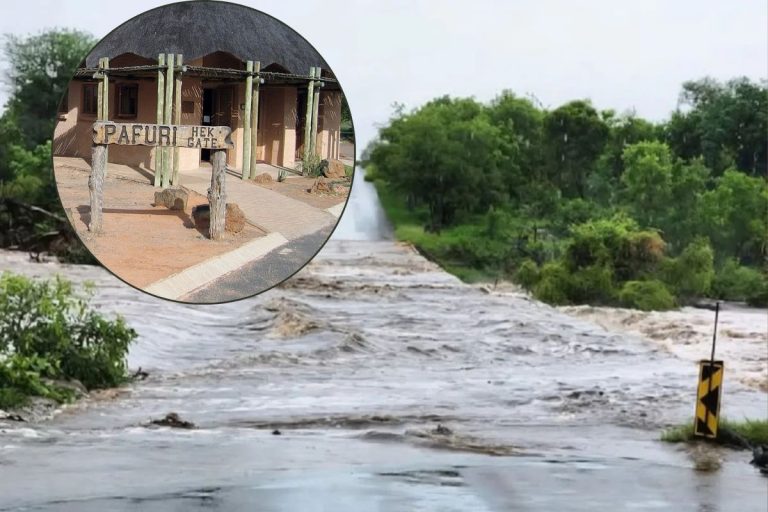 WATCH: Aerial footage shows severe flooding at Kruger National Park
