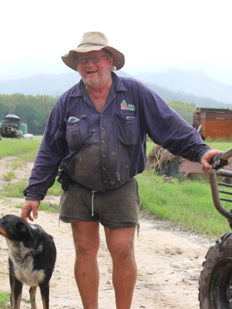 Cow survives 80km swim in floodwater before washing ashore on beach