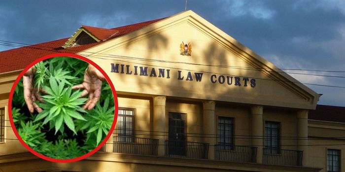 High Court Issues Way Forward on Case Seeking Legalisation of Bhang