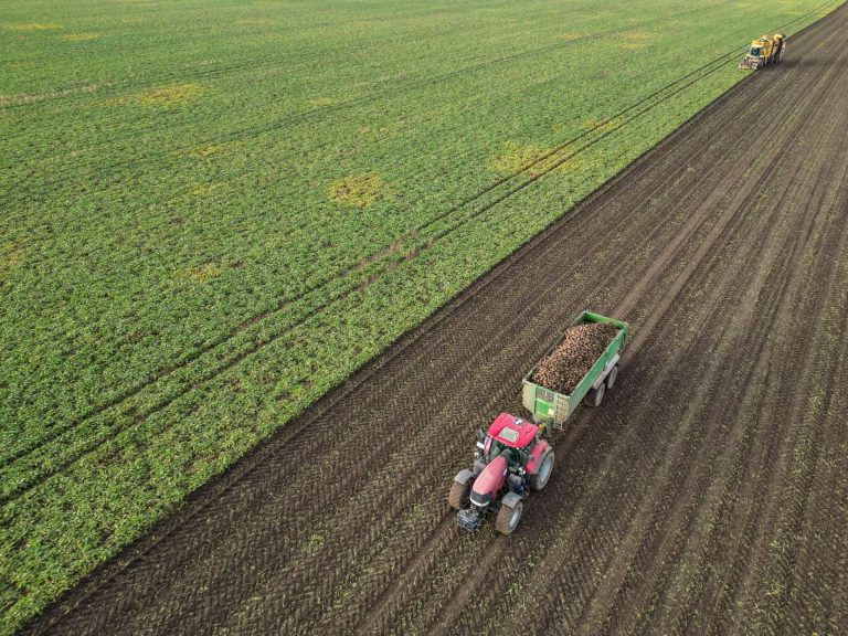 German associations warn of setbacks in agricultural policy