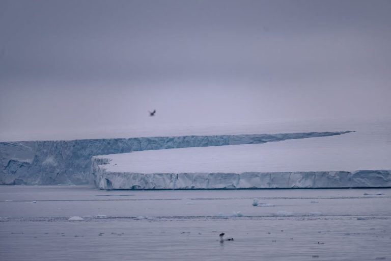 Italy unveils Arctic strategy to boost business as polar race heats up