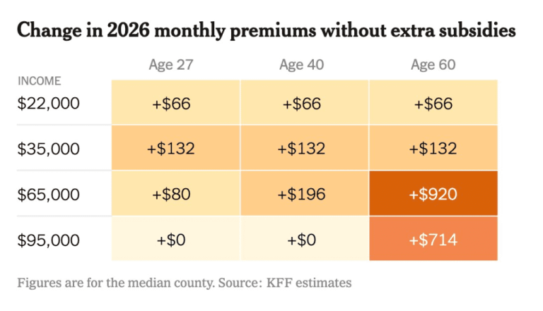 A ‘blue wave’ or a new system? How to make universal healthcare a reality