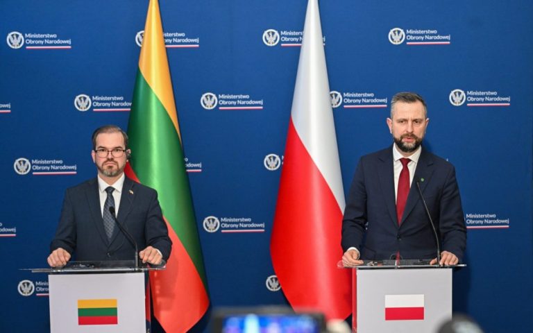 Head of the Ministry of National Defence: we are interested in preparing and using a training ground on the territory of Lithuania