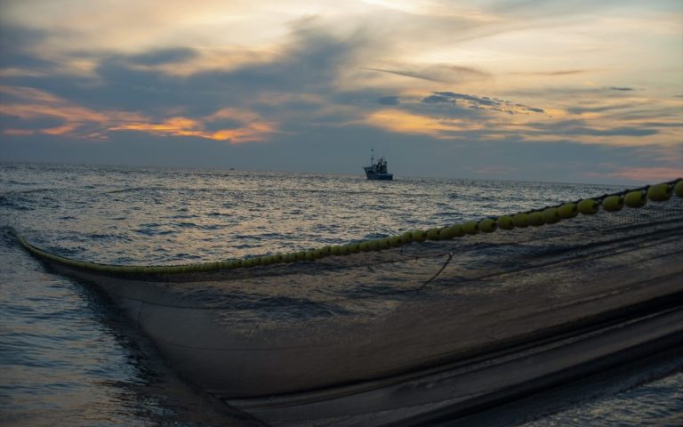 Portugal has 5 fishing vessels under a high-risk flag