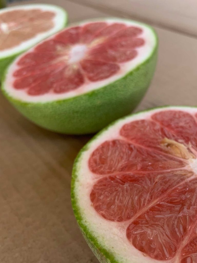 NT citrus growers fear Vietnamese imports will flood market and bring in disease