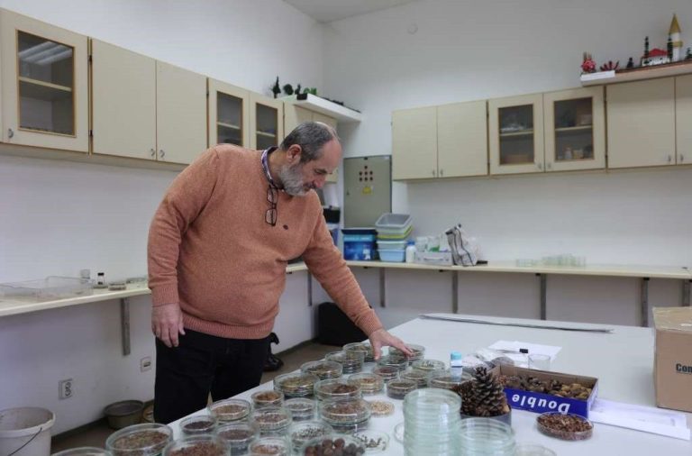 EU project FruitDiv reveals the potential of wild fruit trees for new economic opportunities