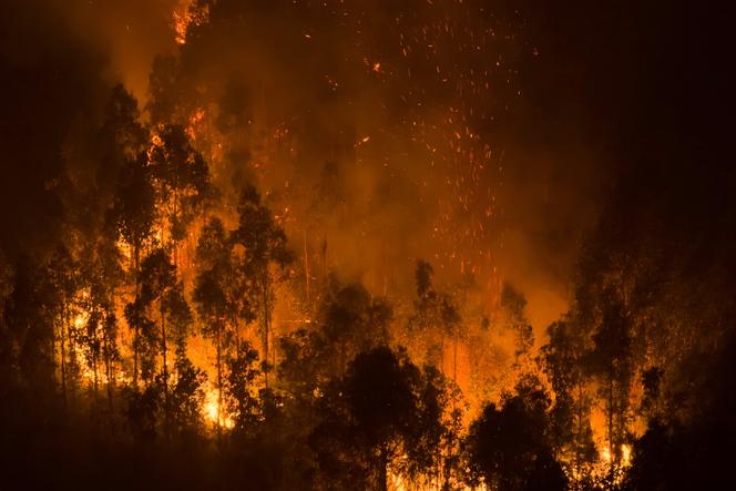 Chile police arrest third suspect in wildfire-ravaged south