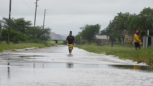 South Africa’s Kruger park suffers ‘devastating’ damage from floods
