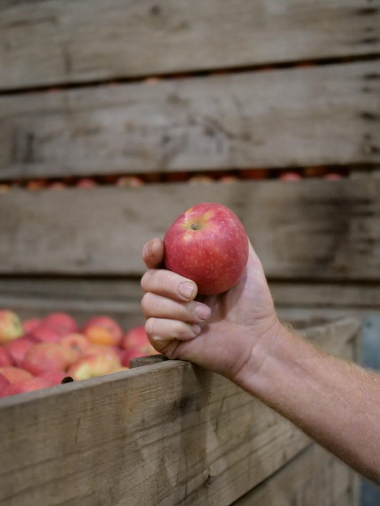 Your supermarket apple could be a year old. How is that possible?