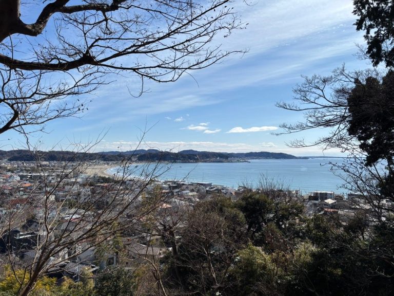 TLP Weekend Edition (January 24-25, 2026)