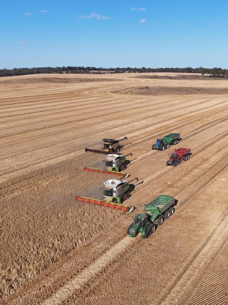 ‘Amazing’ WA grain harvest set to break record with 27 million tonnes