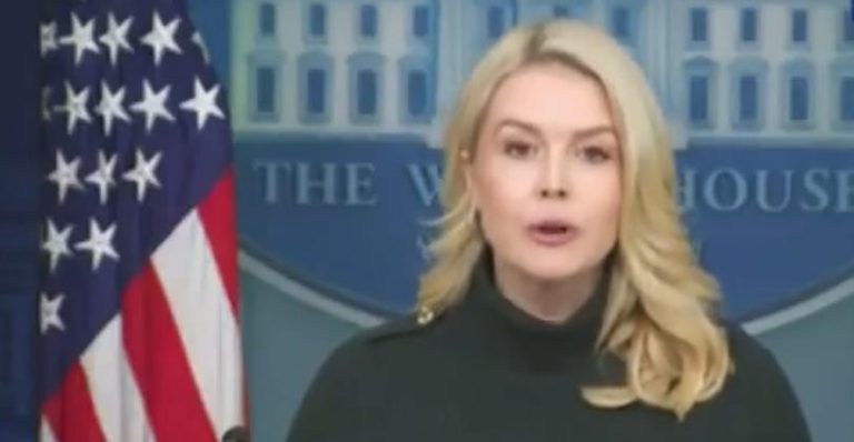 Karoline Leavitt Blames Democrats For The Trump Administration Murder Of Alex Pretti