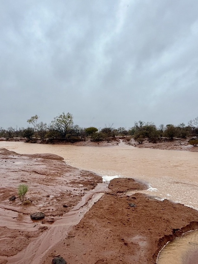 Pastoralists get respite with nearly a year of rain in one day