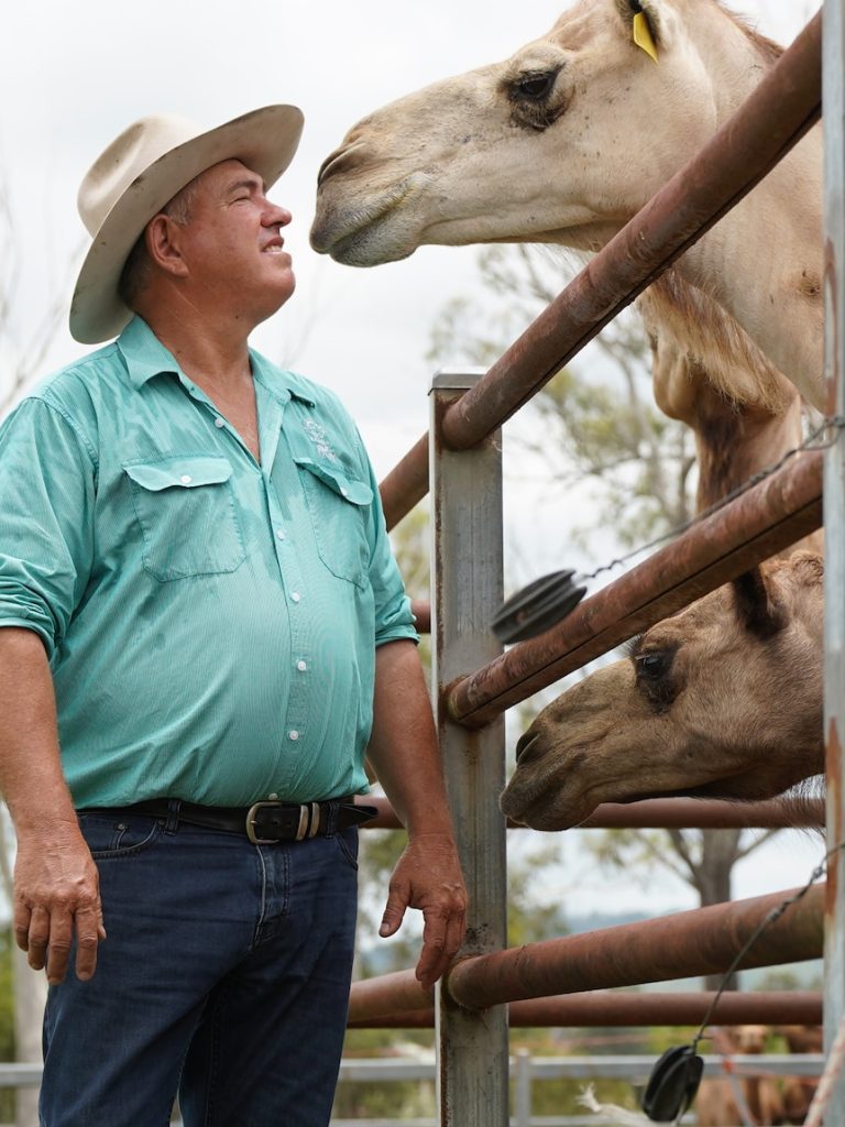US wellness industry demand for camel milk a win for Queensland farm