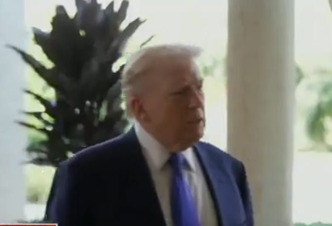 Trump Mentally Collapses After Democrats’ Shocking Win In Texas