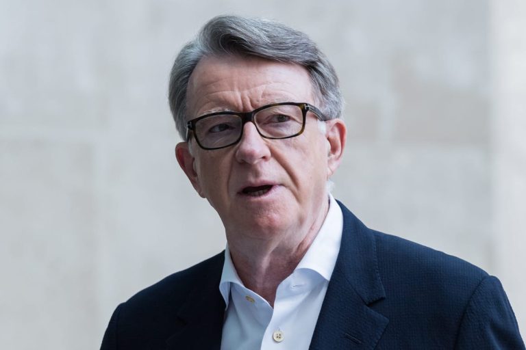 Mandelson appeared to send UK government plans to Epstein