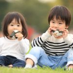 Balanced meals may matter more than protein alone: Japan study