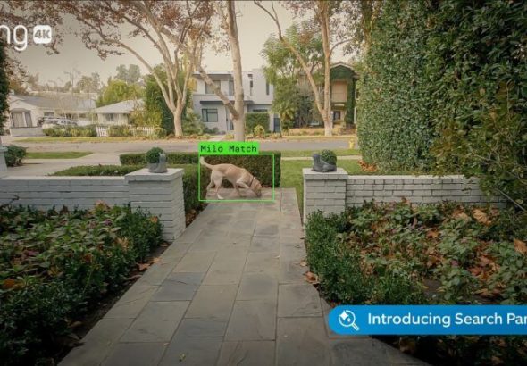 Ring’s Lost Dog Finder Is a Potential Civil Liberties Nightmare