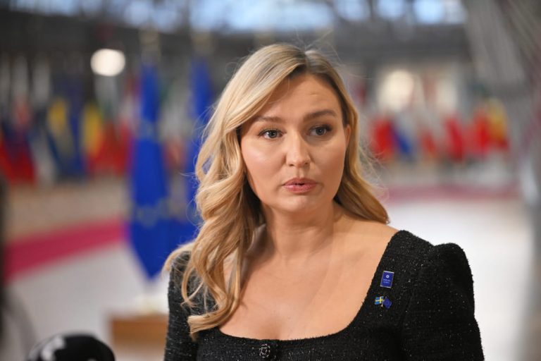 Swedish deputy PM: European leaders must ‘toughen up,’ stop waiting for Brussels, US