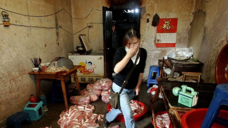 A Traveler Learns About China’s Food Scandals The Hard Way