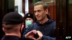 Russia Poisoned Navalny With Exotic Frog Toxin, European Countries Say