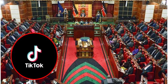 MPs Demand Immediate Crackdown on TikTok Over Violations of Privacy