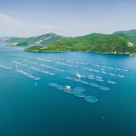 Is aquaculture sustainable? It depends on the system around it