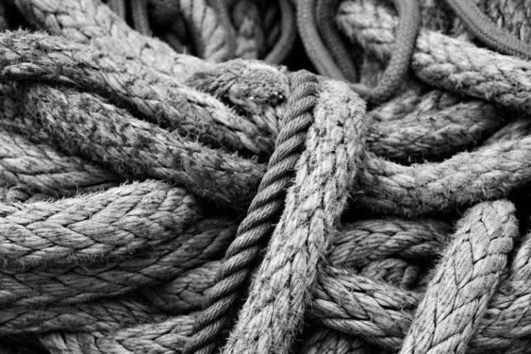 Pakistan’s Risky Bet on Trump’s “Board of Peace”