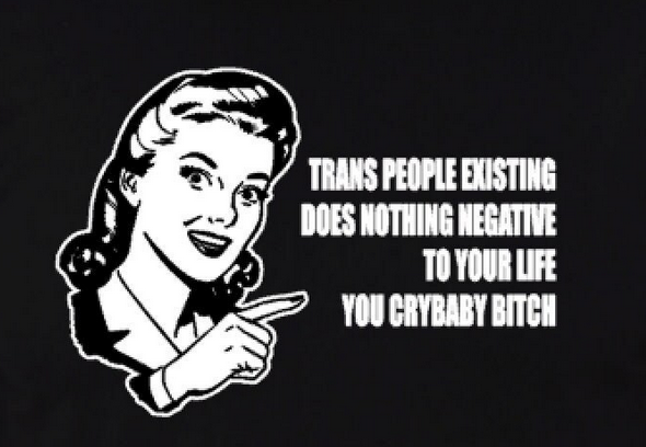 The Trans Community Is Under Attack. What Are We Doing About It? (UPDATED)