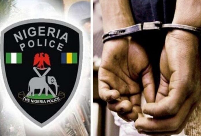 Murder Of 62-Year-Old Woman: Police Arrest Two Suspects In Ibadan