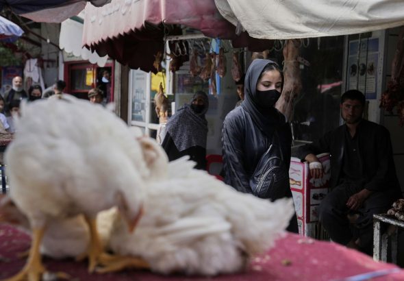 The Politics of Love in Kabul