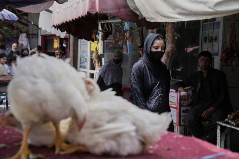 The Politics of Love in Kabul