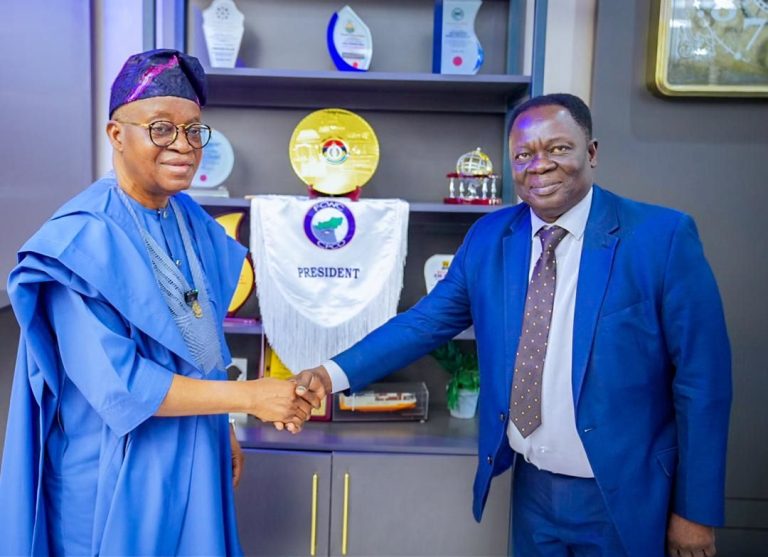  Nigeria To Pilot Regional Fishing Vessel Register In Gulf Of Guinea-Oyetola