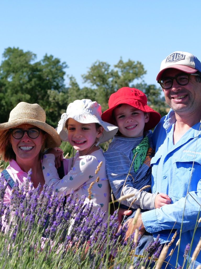 Growers warn ‘watered down’ lavender oil widespread in surging imports