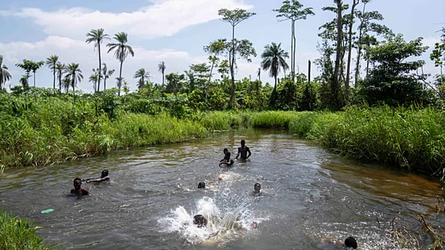 DRC: Maurice Pellosh’s clients rediscover their portraits in documentary