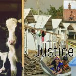 Relational equality and the status of animals