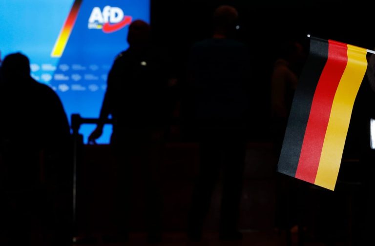 Germany’s far right under pressure as nepotism allegations mount