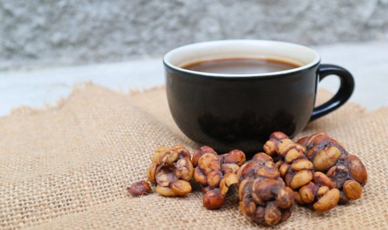 The Chemistry Behind Civet Coffee’s Distinctive Flavour