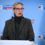 Far-right AfD eyes court win as springboard for state elections in Germany