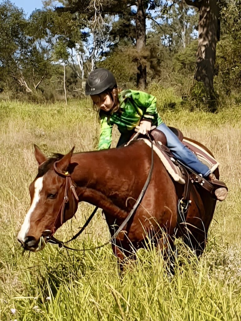 Fatal dog attack on beloved mare highlights feral animal control struggle