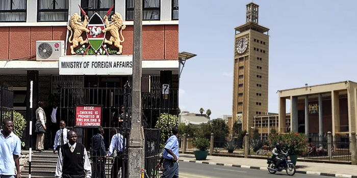 Ministry Clashes With Parliament Over Immunity of International Agency