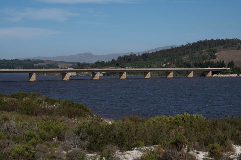 Cape Town dam levels: Residents thanked for getting ‘closer to target’