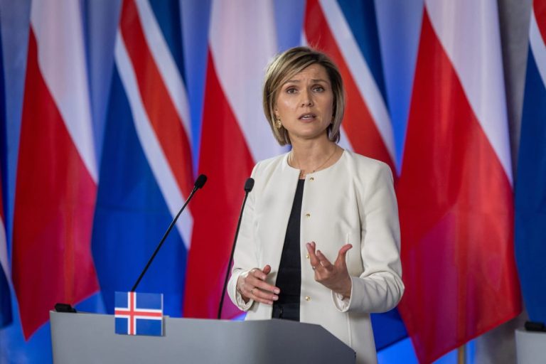 Iceland to hold Aug. 29 referendum on reviving EU membership talks