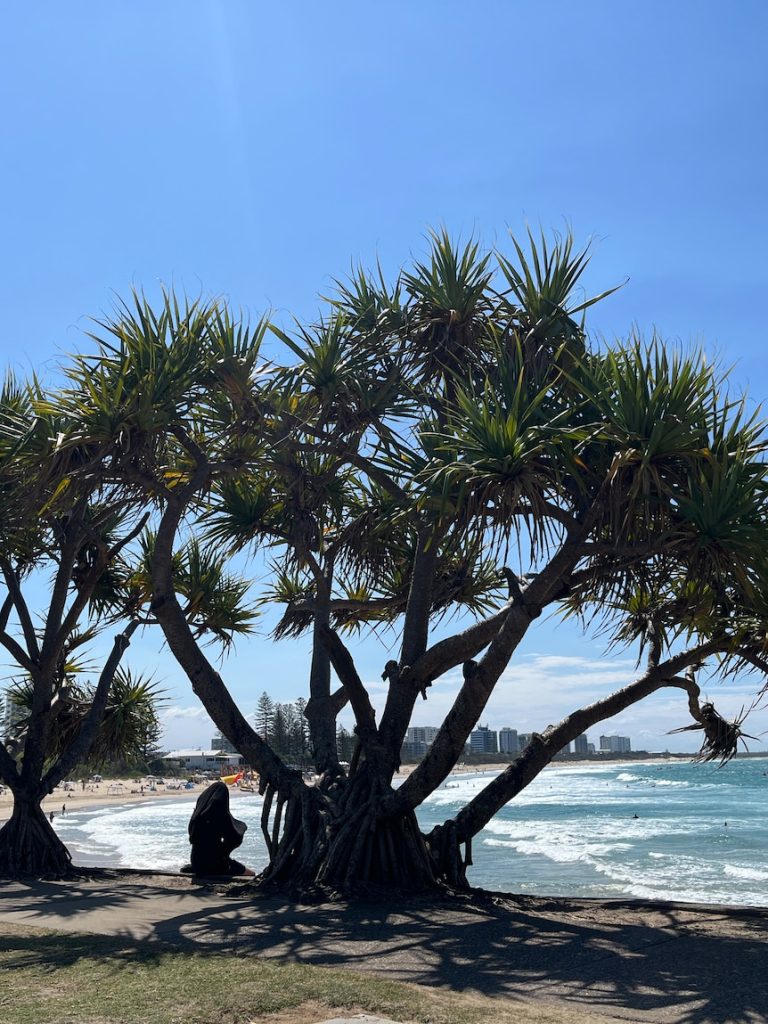 Heatwave conditions to return for SEQ ahead of weekend showers