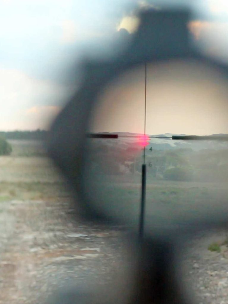 NSW scheme saw 485,000 native animals legally harmed or killed in 2025