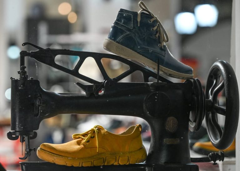 The only decent jobs left are Eurocrat and shoemaker