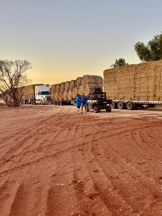 Drought-hit pastoralists plead for funds to move hay stockpiled 1,000km away